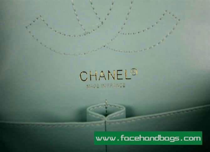Chanel 2.55 Rose Handbag 50135 Gold Hardware-Light Blue
